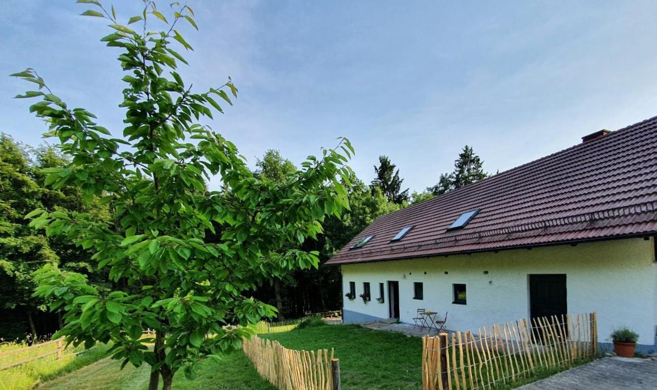 דירות Haselbach Ferienhaus Am Dachsberg, Bayerischer Wald מראה חיצוני תמונה