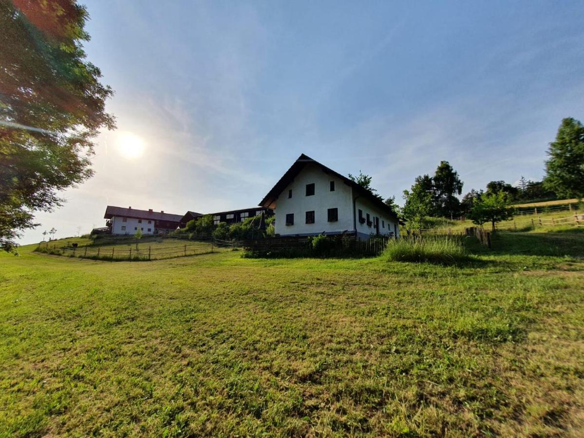 דירות Haselbach Ferienhaus Am Dachsberg, Bayerischer Wald מראה חיצוני תמונה